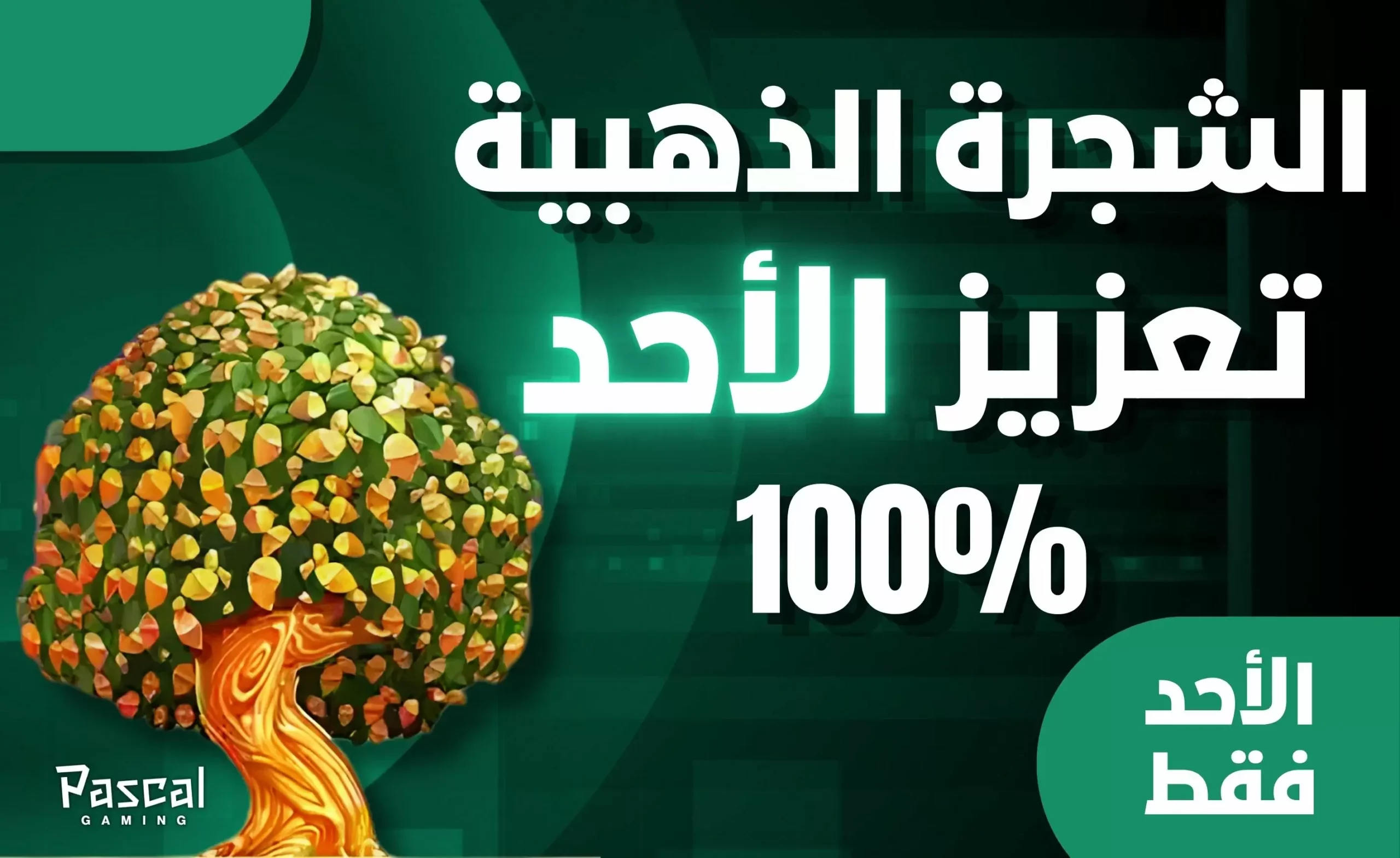 زيادة Golden Tree يوم الأحد بنسبة 100%